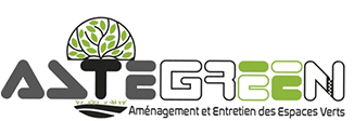 head-logo
